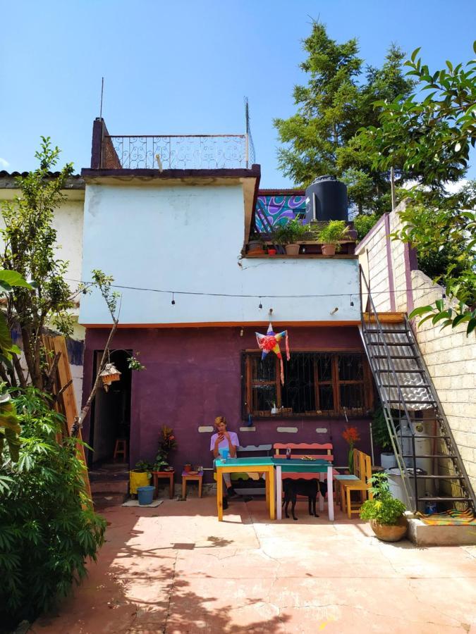 Lipi House Hostel San Cristóbal de Las Casas Exteriör bild