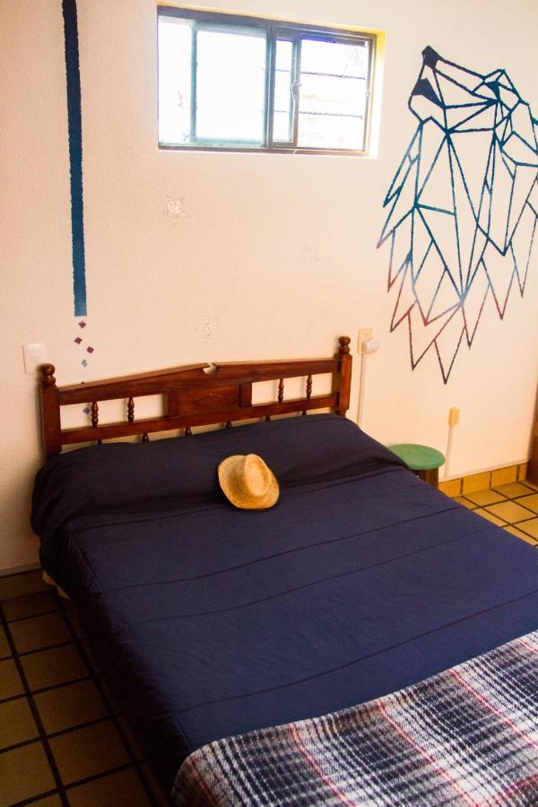 Lipi House Hostel San Cristóbal de Las Casas Exteriör bild