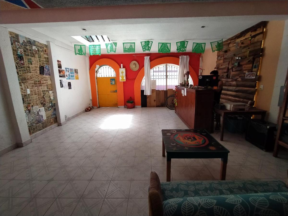 Lipi House Hostel San Cristóbal de Las Casas Exteriör bild